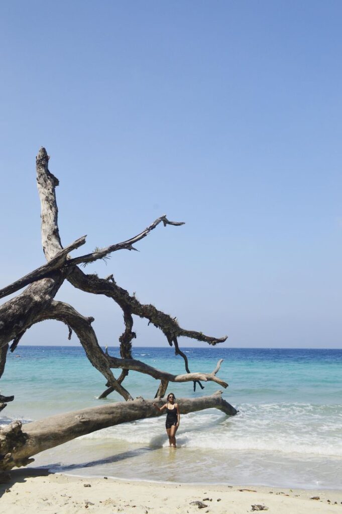 havelock island